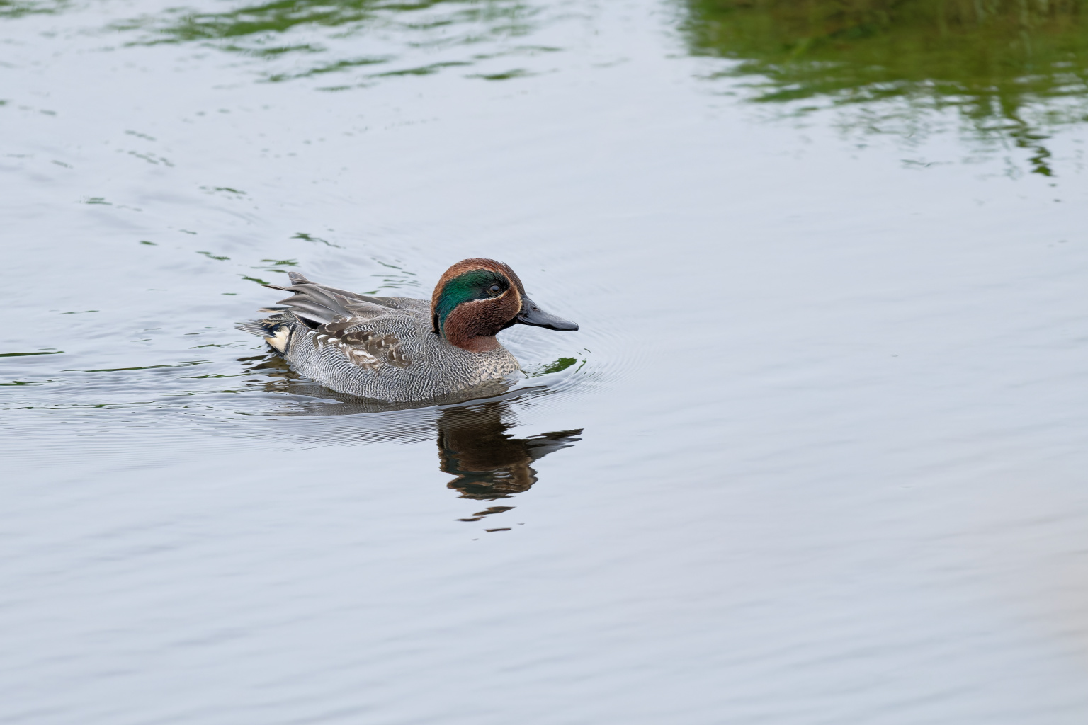 Wintertaling
